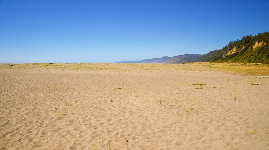 Redwood National and State Parks featuring a beach and landscape views