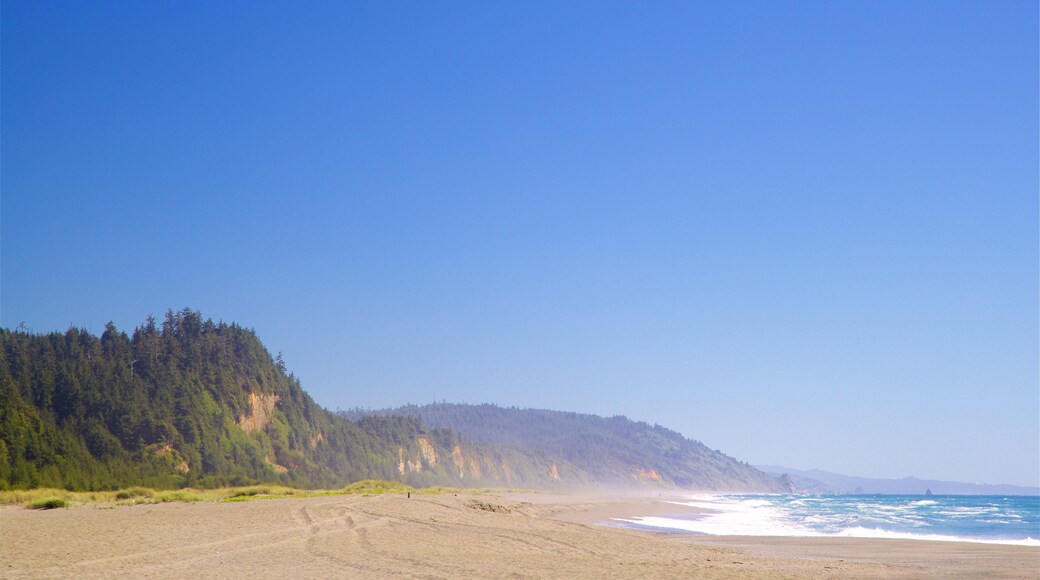 Gold Bluffs Beach which includes landscape views, general coastal views and a sandy beach
