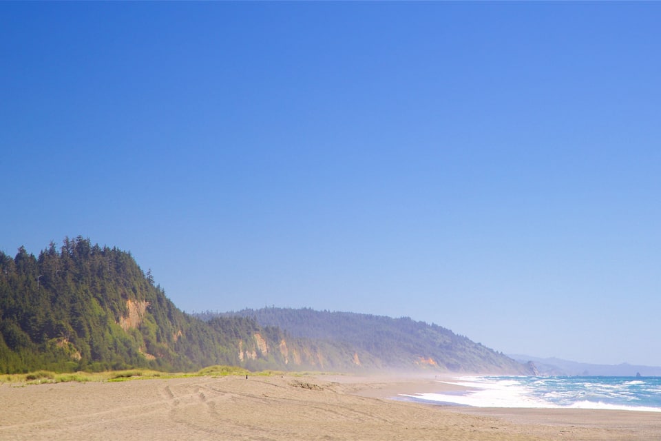A beach with a forested cliff and ocean waves.