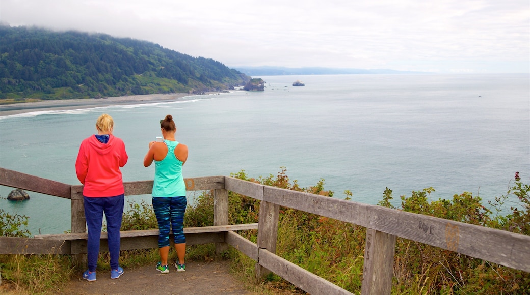 Klamath River Overlook showing general coastal views and views as well as a couple