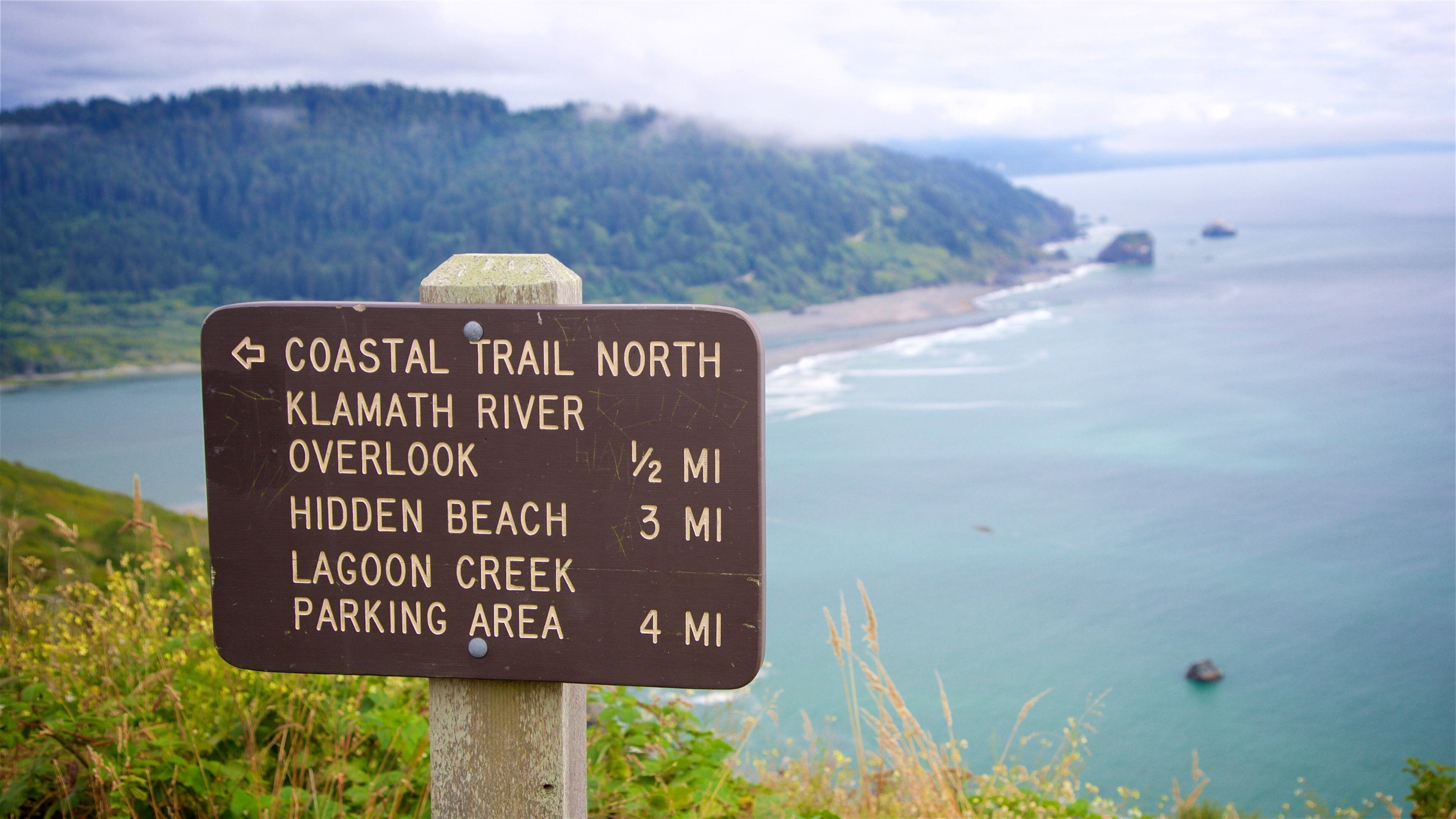 Redwood National and State Parks inclusief algemene kustgezichten en bewegwijzering