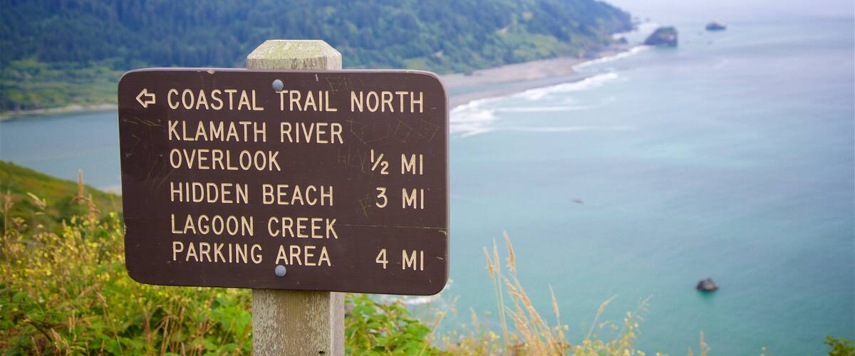 Redwood National and State Parks