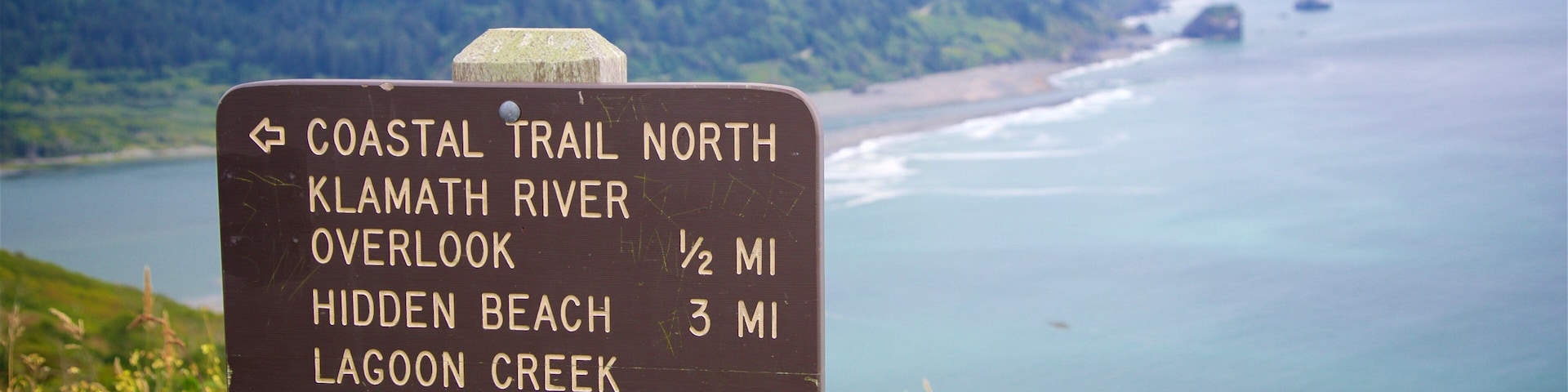 Redwood National and State Parks