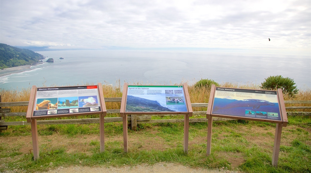 Klamath River Overlook featuring signage and general coastal views