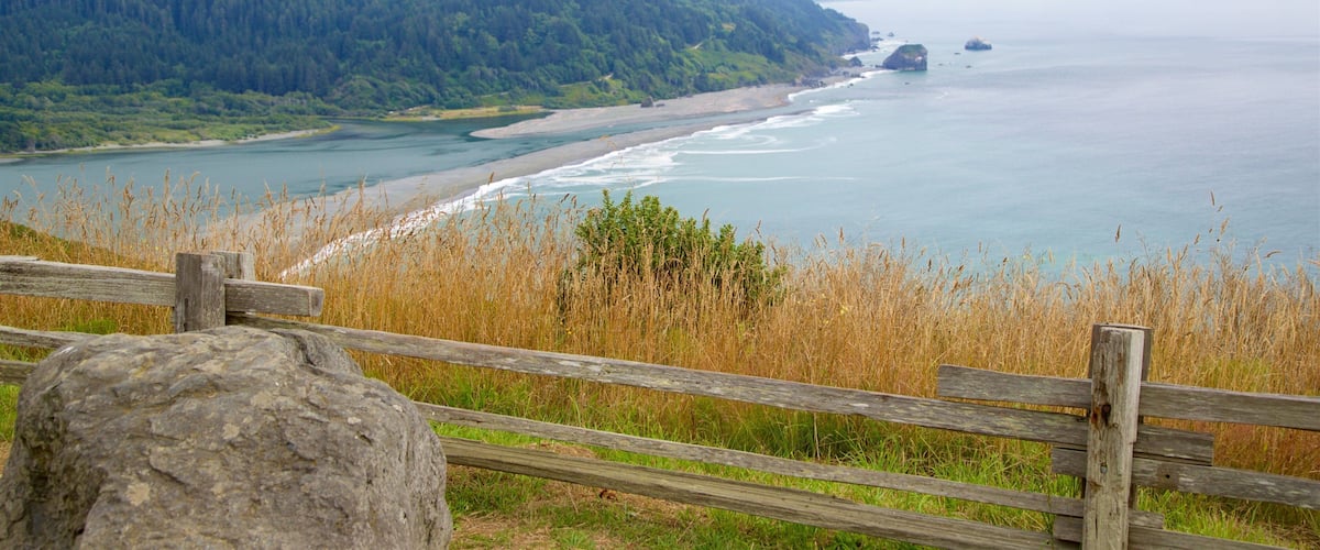 Klamath River Overlook which includes general coastal views and landscape views