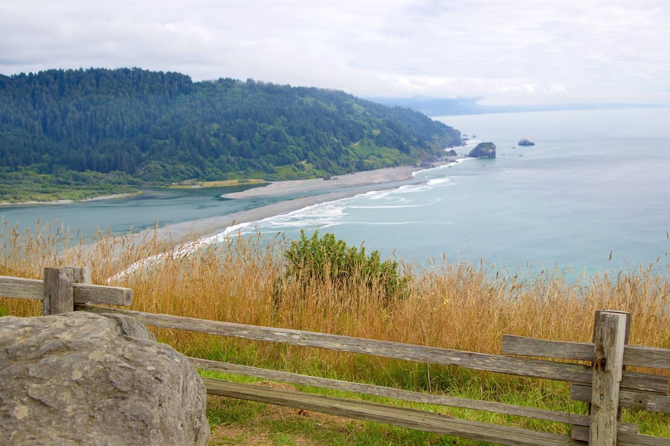 A coastal landscape with a wooden fence, a rocky foreground, a forested hill, and a beach with waves.