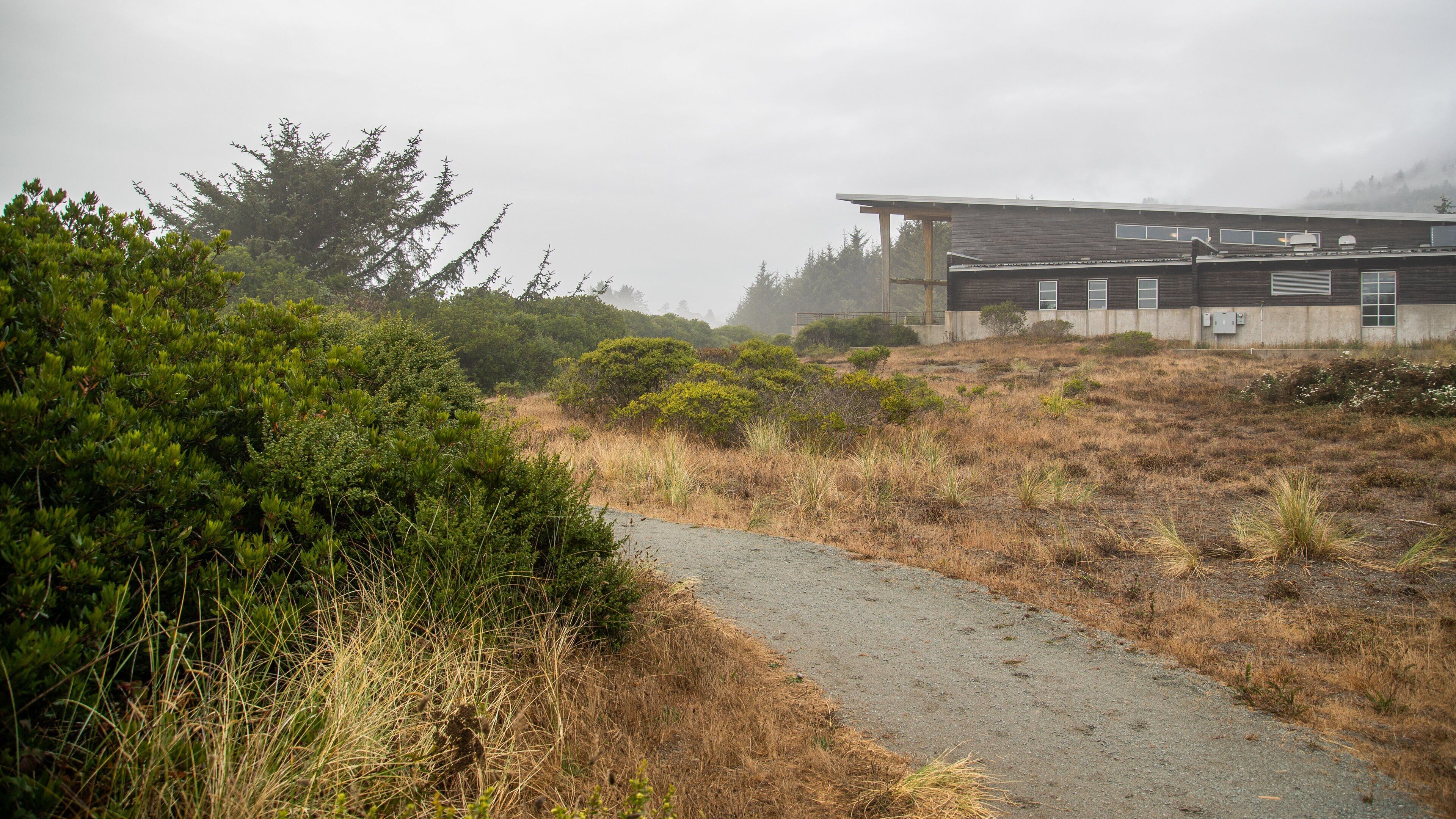 Brookings which includes tranquil scenes and mist or fog