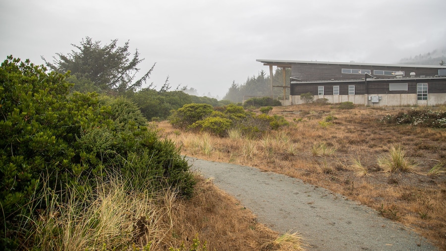 Brookings which includes tranquil scenes and mist or fog