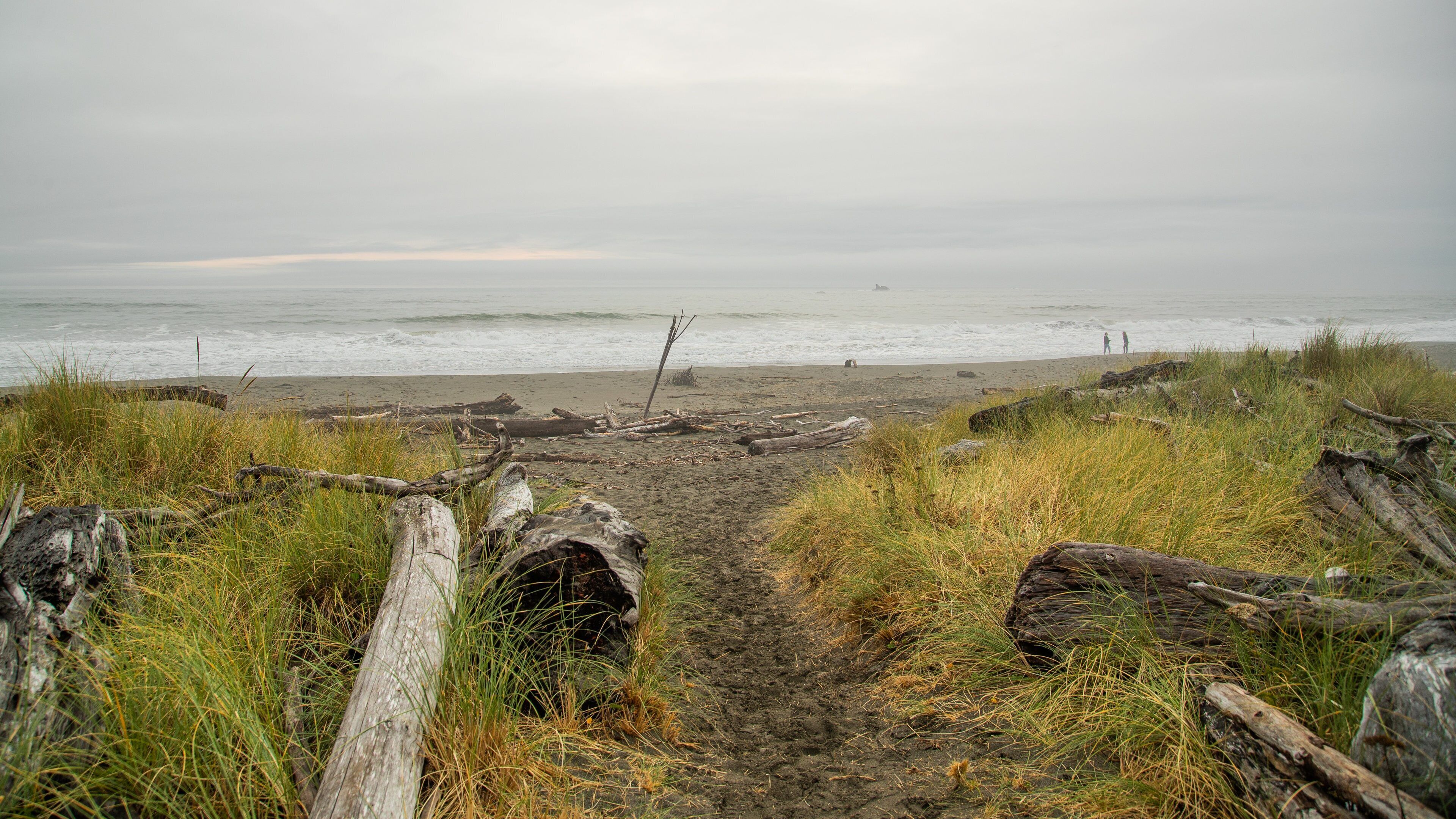 Crissey Field State Park showing general coastal views