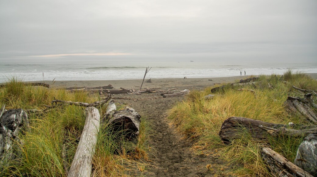 Crissey Field State Park showing general coastal views