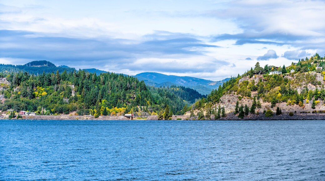 ブックス バイ ザ ベイ