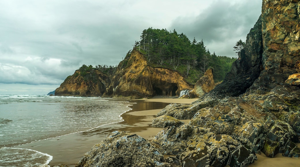 Overlook Beach Trail