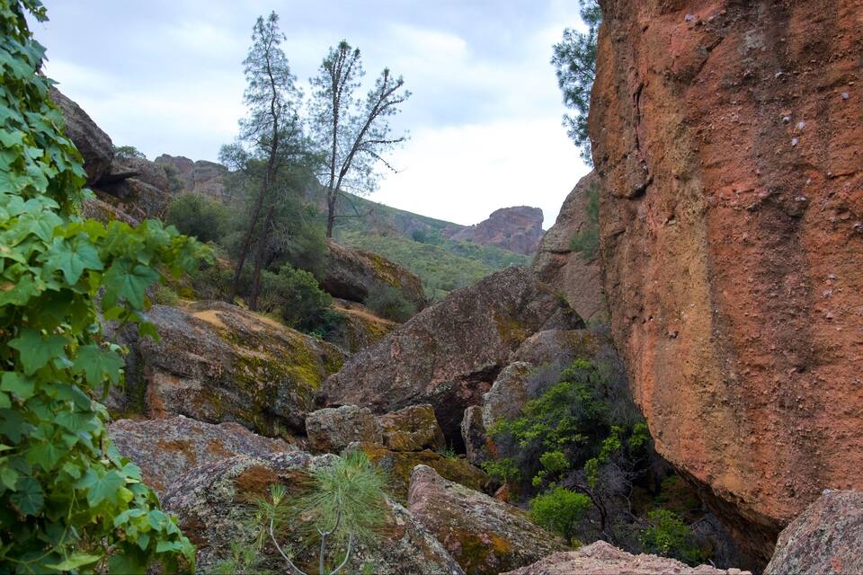 A rocky canyon with large boulders, sparse trees, and green vegetation.
