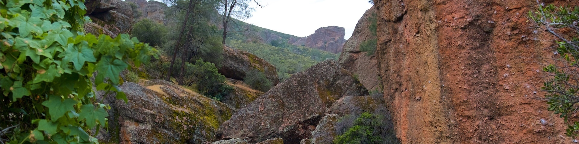 Bear Gulch Caves caracterizando cenas tranquilas