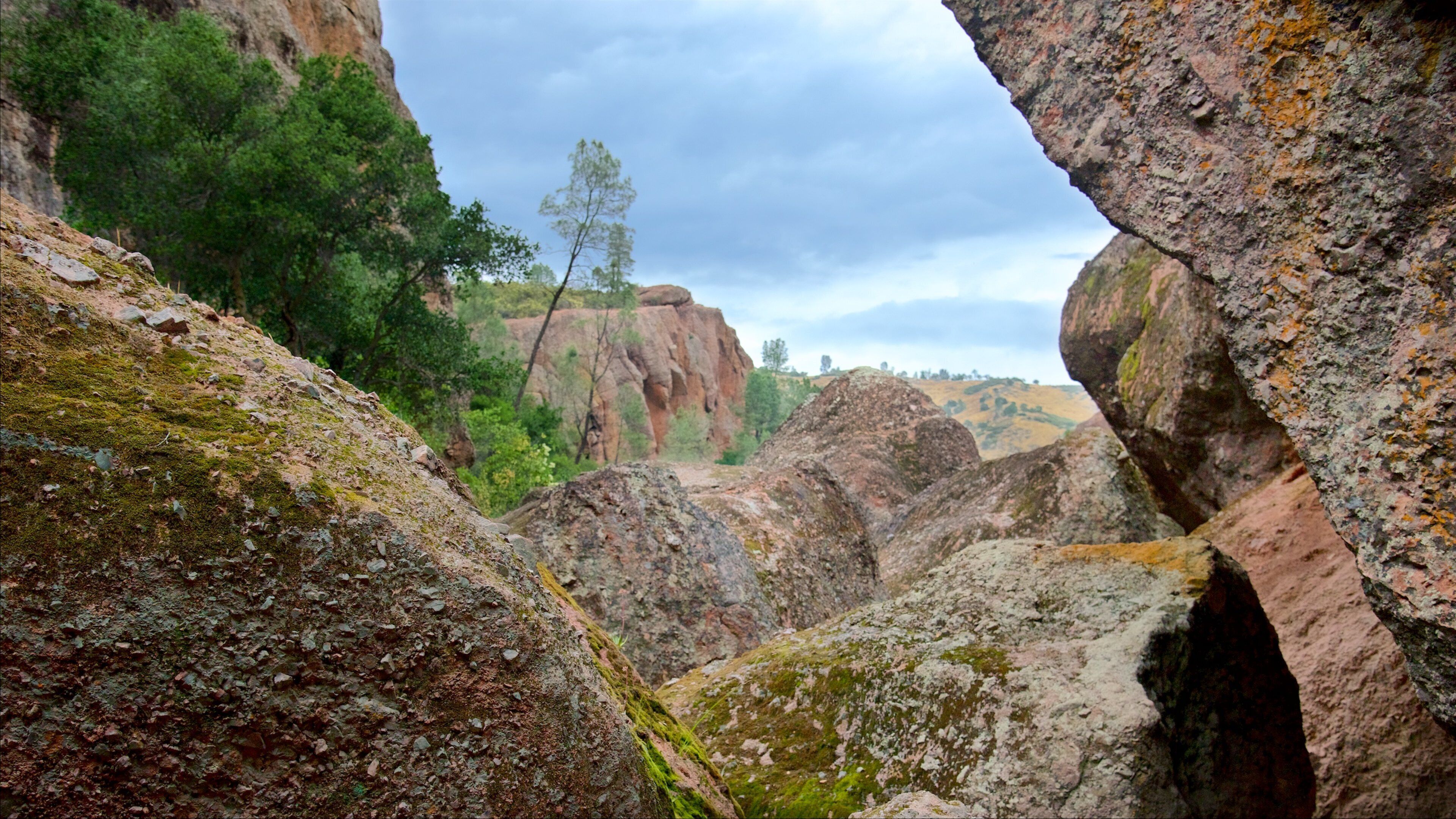 Parc national des Pinnacles