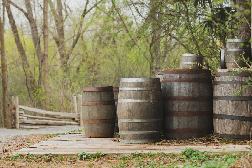 Wooden barrels lined up on a wooden path in a wooded area.