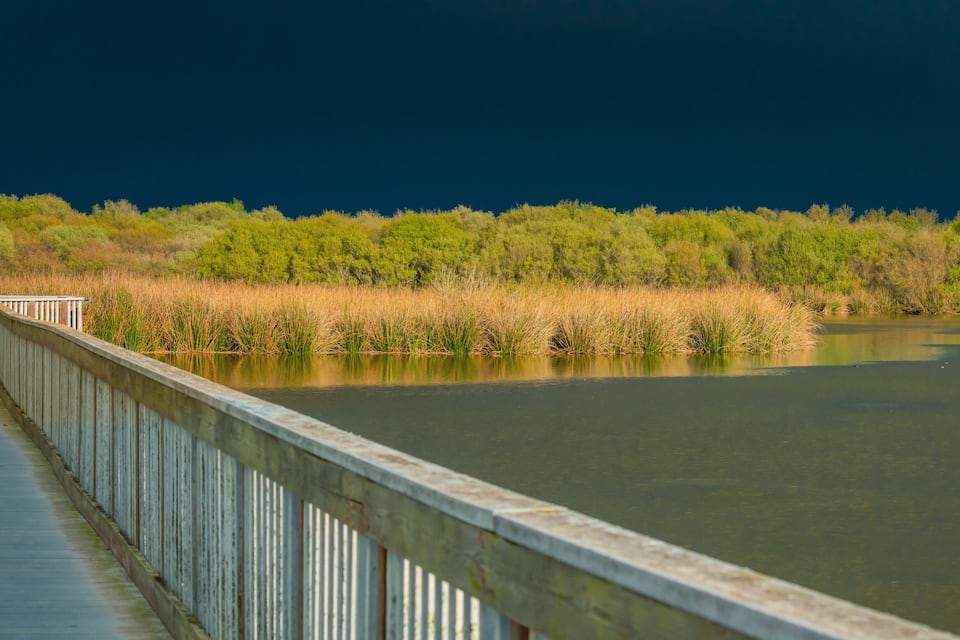 A wooden bridge over a calm river with dense greenery and trees in the background.