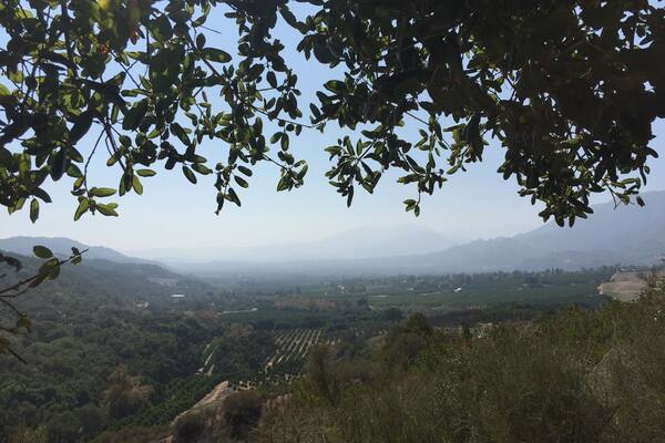Nice free park (donations welcome) on the hills above Ojai. Very peaceful and great view over the town.
#outdoors #Ojai #california
