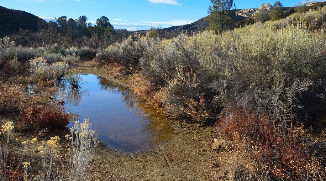 Sespe River, Piedra Blanca, Los Padres National Forest