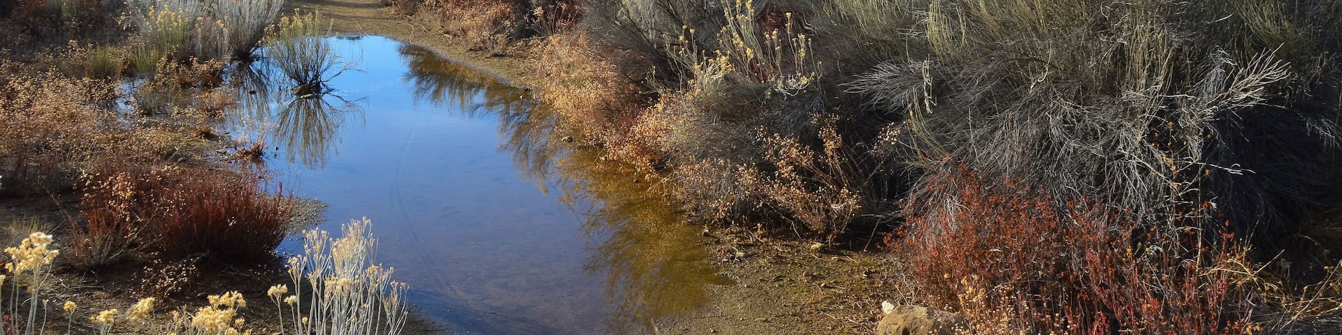 Sespe River, Piedra Blanca, Los Padres National Forest