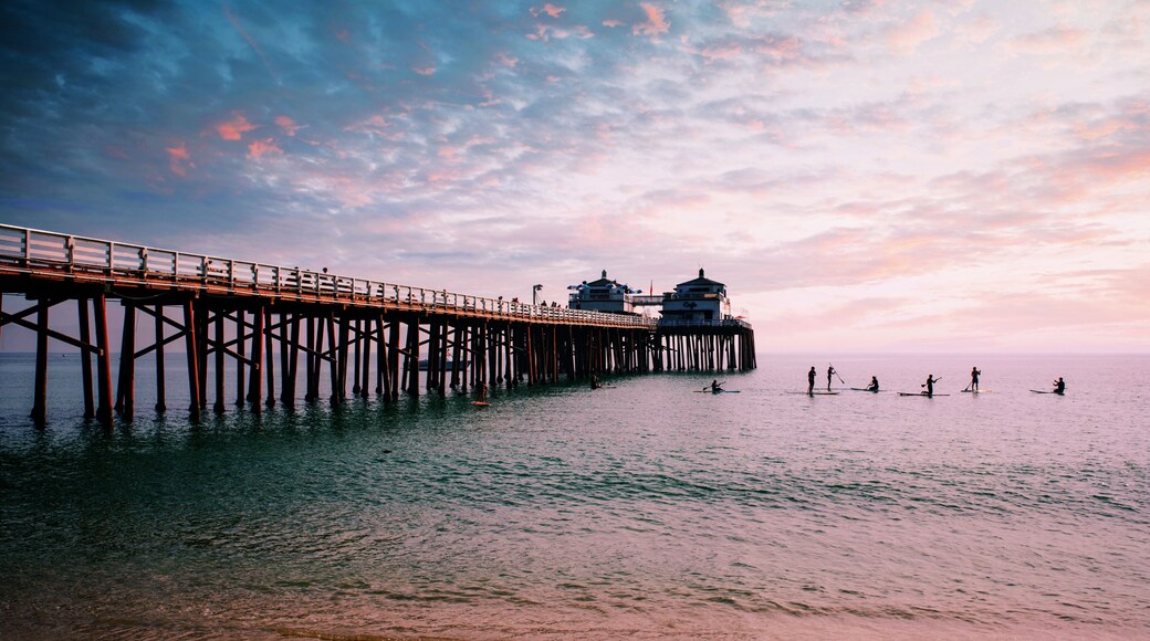 surf et stand up sur la plage de Malibu
