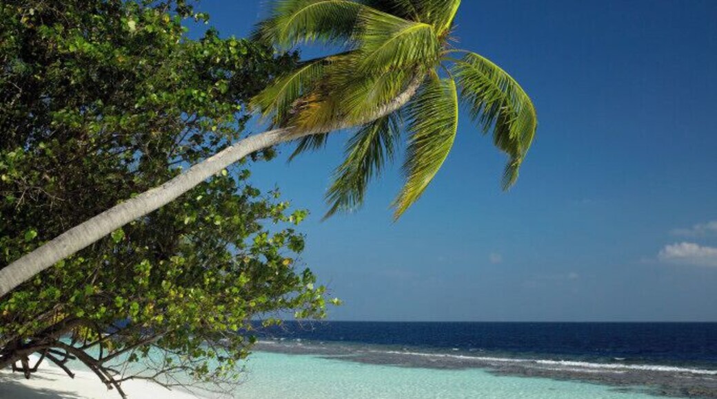 Tropical Breeze Massage