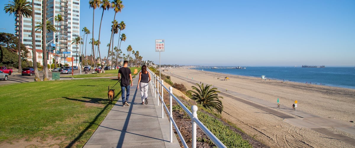 City Beach which includes cuddly or friendly animals, general coastal views and a beach