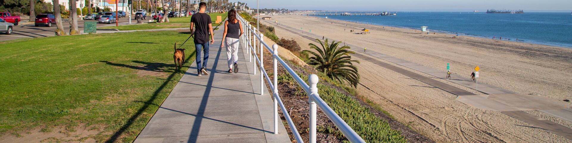 A coastal walkway with palm trees, a beach, and a clear blue sky.