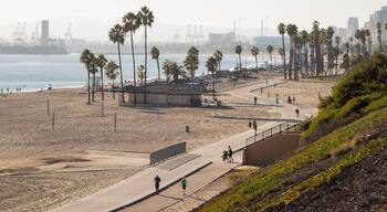 A beach with palm trees, a boardwalk, and a city skyline in the background.