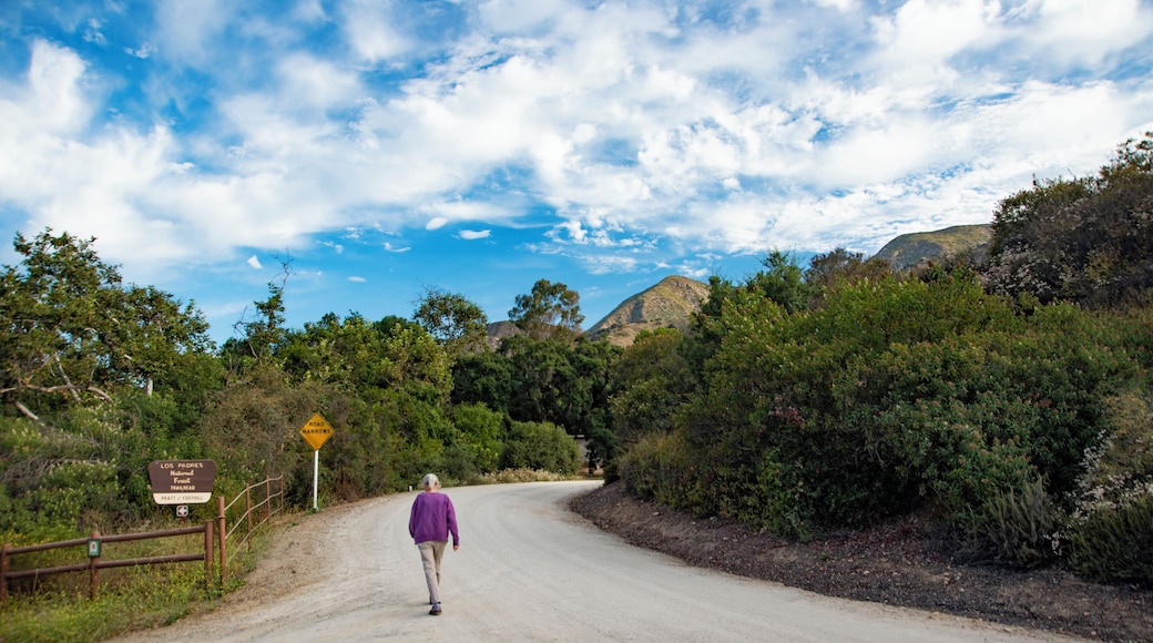 프랫 트레일 루프