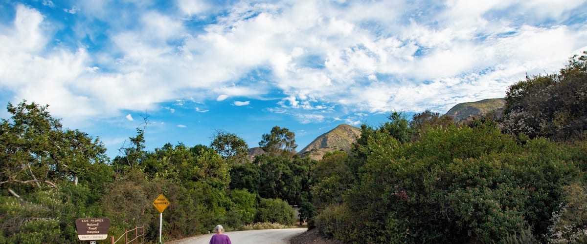 Ojai_PrattTrailLoop_553248621532639942-8