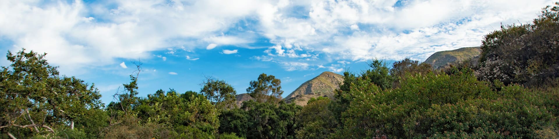 Ojai_PrattTrailLoop_553248621532639942-8