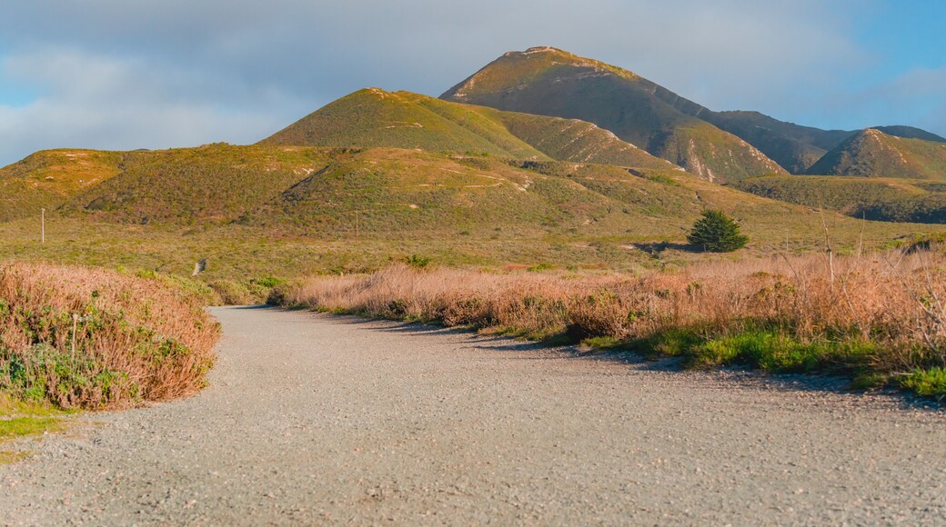 瓦伦西亚峰步道