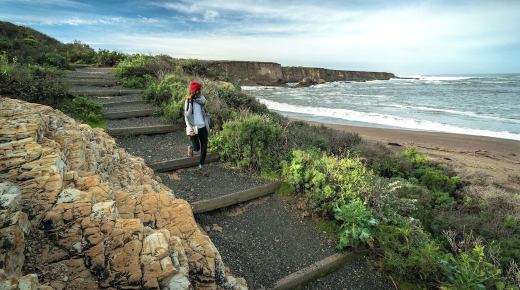 Inclement weather led to some last minute changes to the already strained itinerary of our California road trip. Having planned to sleep on the beach 30 minutes to the south, we arrived to find it closed by the rangers due to severe high tide. Luckily we found this amazing gem of a beach close by, and were all the happier for it. #BvSApplication #beach #water #ocean #travel #adventure #hiking #camping #roadtrip #nature