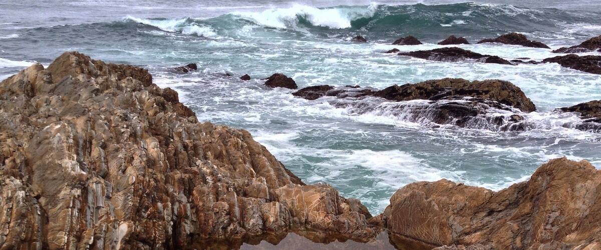 The Bluffs trail at Montaña De Oro state park in California has some fantastic views!