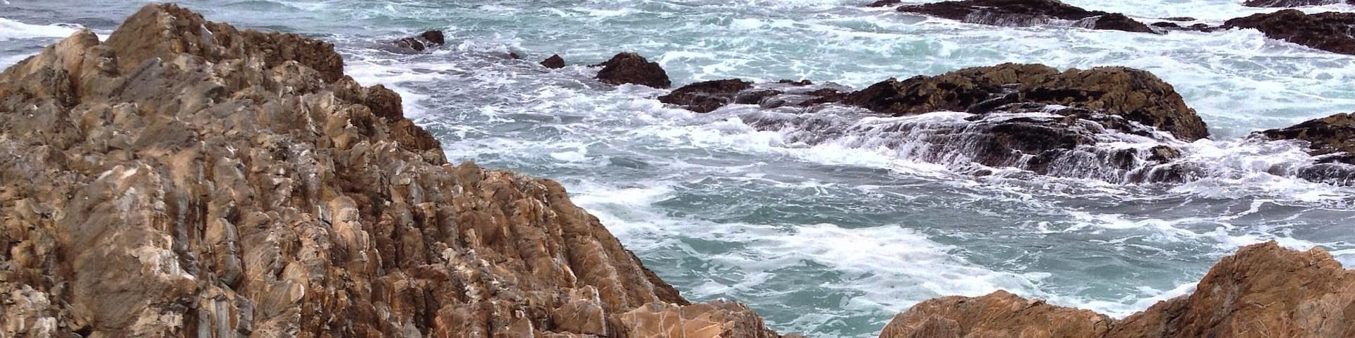 The Bluffs trail at Montaña De Oro state park in California has some fantastic views!
