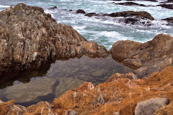 The Bluffs trail at Montaña De Oro state park in California has some fantastic views!