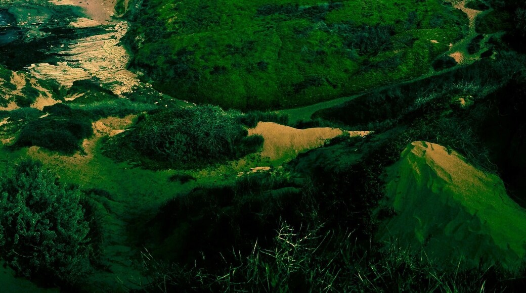 lots of great spots on the sand dunes