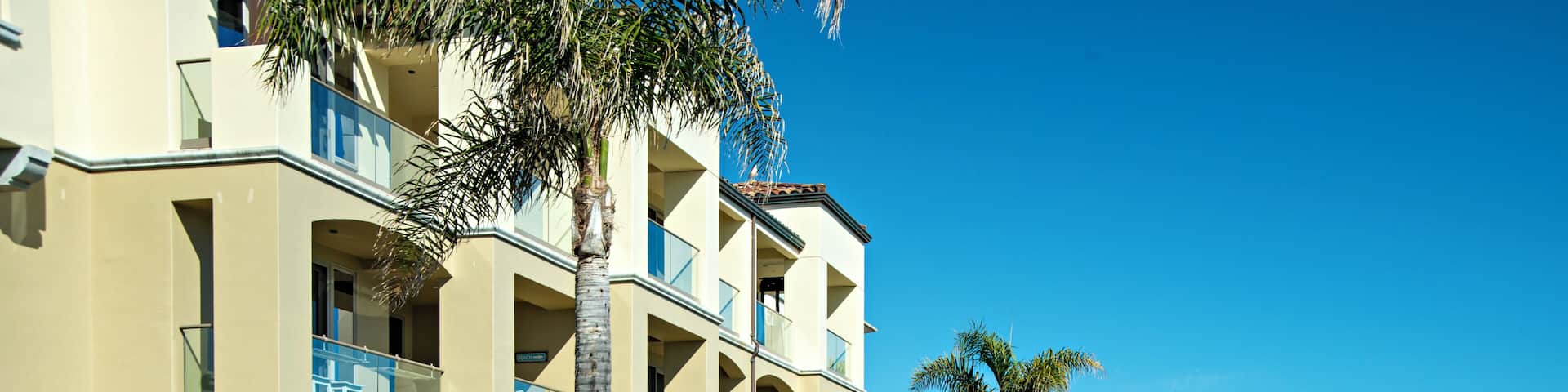 PismoBeach_TheSpaatDolphinBay_553248621532639992_07