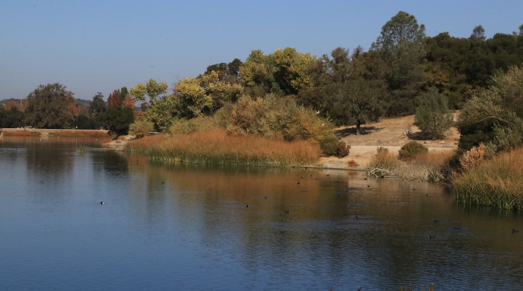 Fall at Atascadero lake