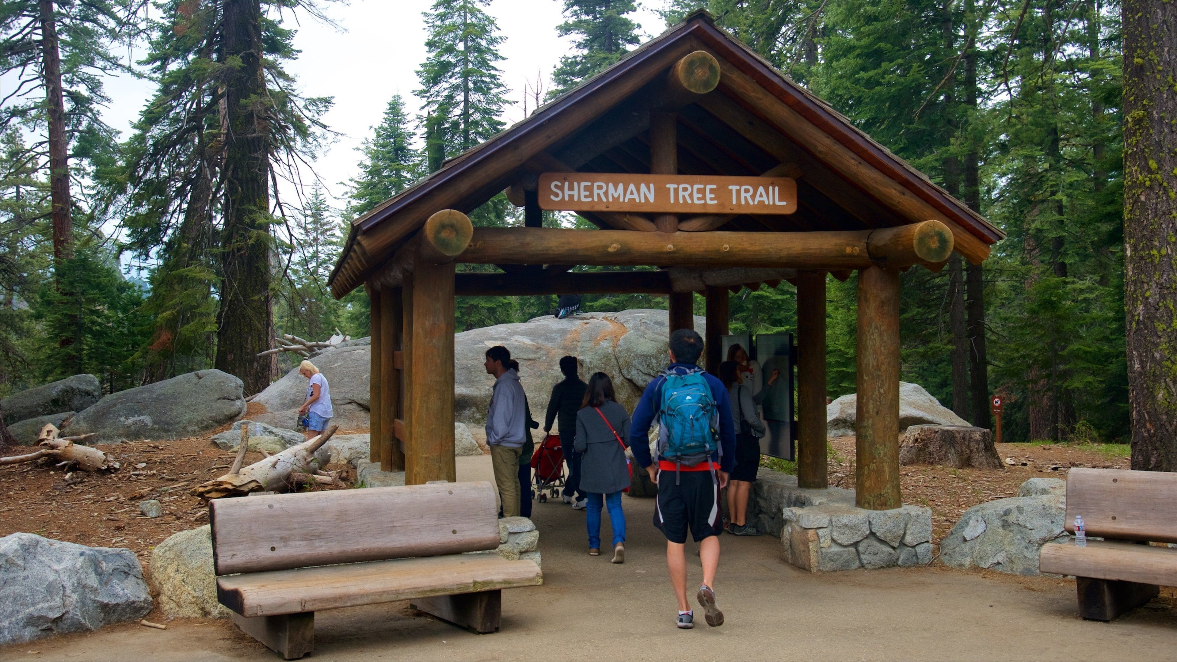 Sequoia National Park fasiliteter samt skilt og skoglandskap i tillegg til en liten gruppe med mennesker