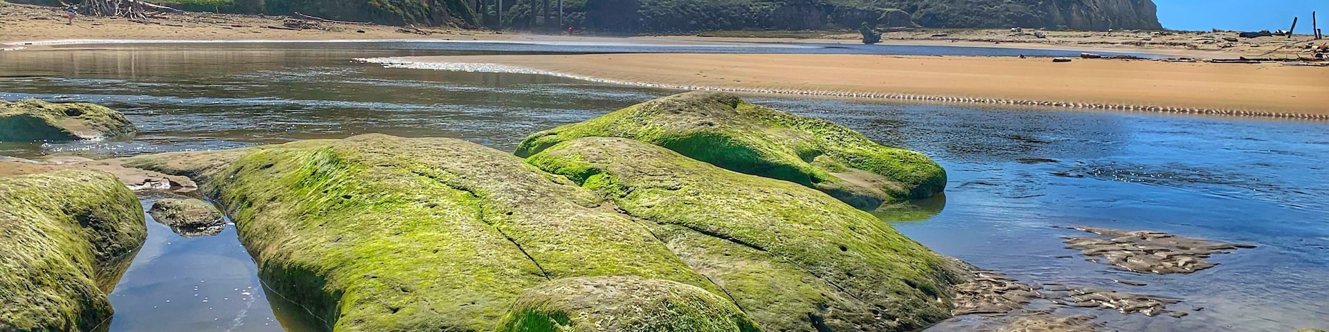 Located along highway 1 by half moon bay. Perfect place to bring your Kids to play in the shallow water and have a bbq by the picnic tables close to the entrance.