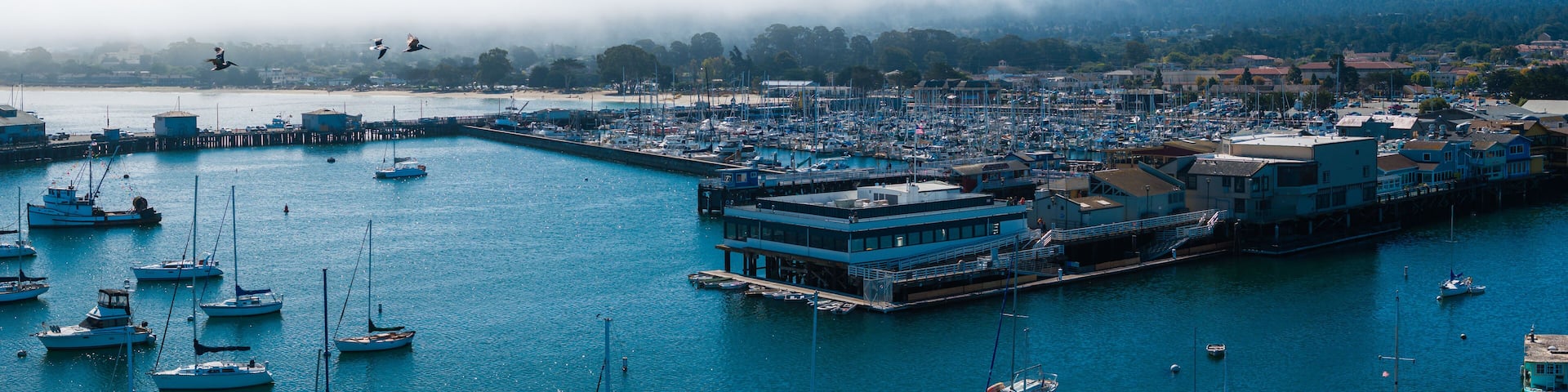 Monterey, California's marina is filled with sailboats and yachts. Birds fly over the water, while fog partially obscures the distant hills.