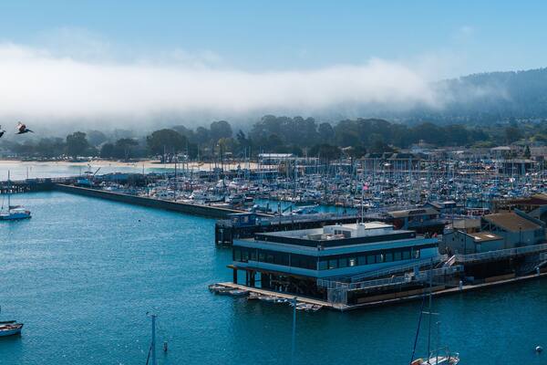 Monterey, California's marina is filled with sailboats and yachts. Birds fly over the water, while fog partially obscures the distant hills.