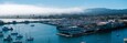 Monterey, California's marina is filled with sailboats and yachts. Birds fly over the water, while fog partially obscures the distant hills.
