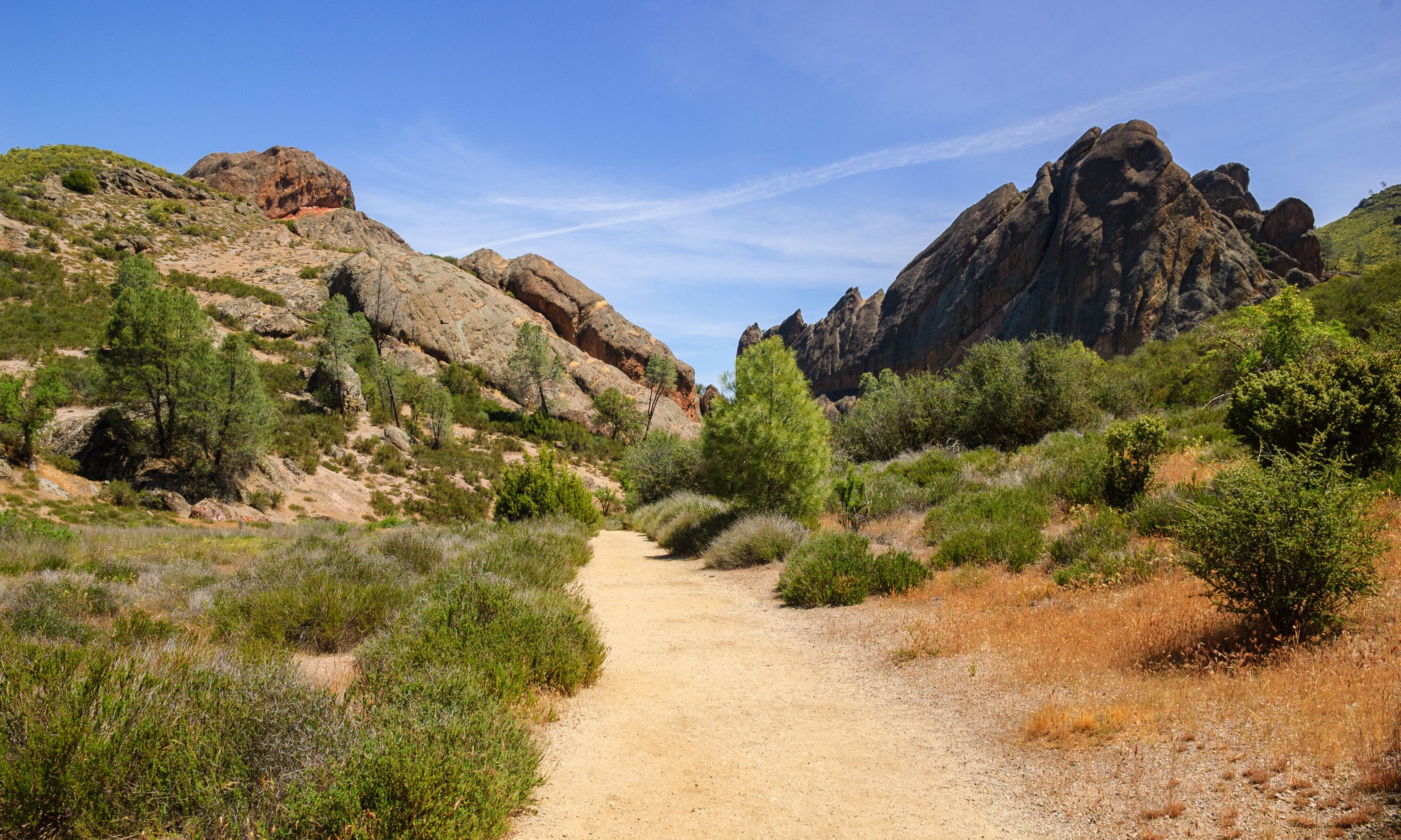 Pinnacles National Park