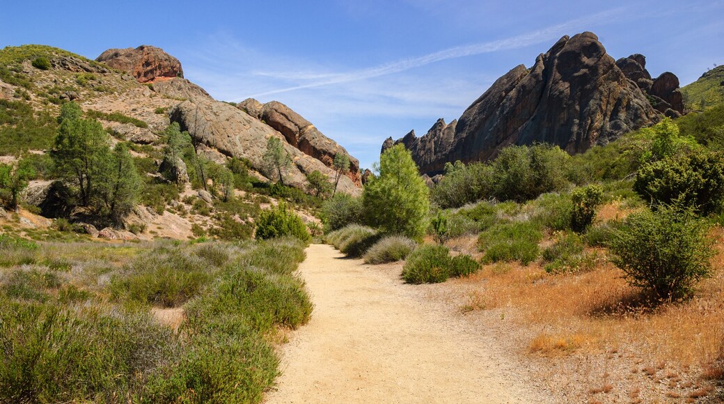 San Andreas Fault Trail