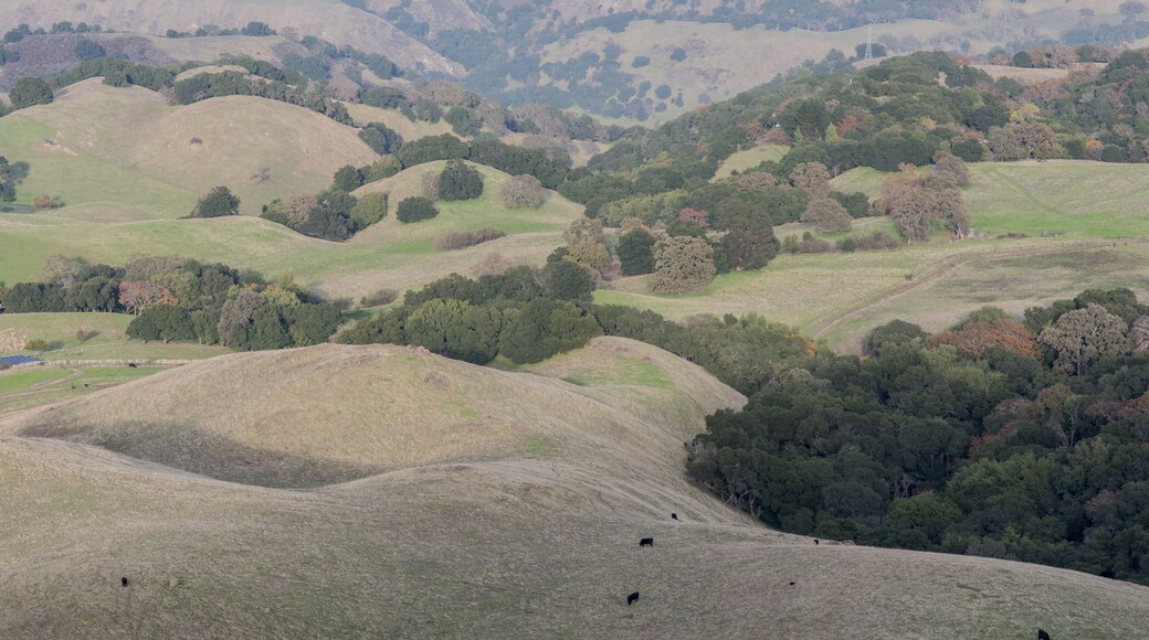 East Bay Regional Park District