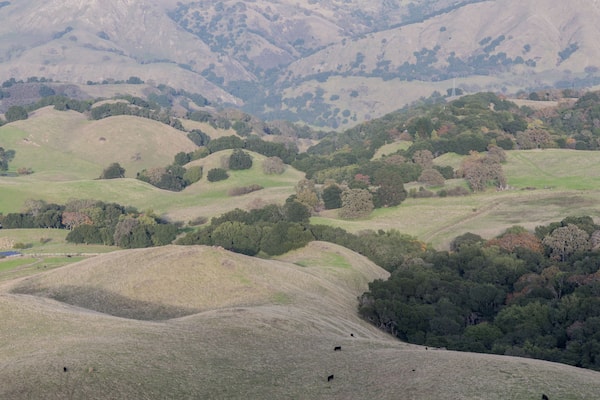 San Francisco East Bay Landscape. Meadows and Pasture lands at the foothills of Mission Peak Regional Preserve, Alameda County, California, USA.