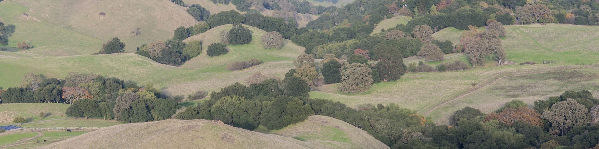 San Francisco East Bay Landscape. Meadows and Pasture lands at the foothills of Mission Peak Regional Preserve, Alameda County, California, USA.